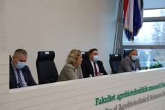 Mini IMG 4487